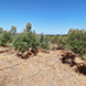 New plot of land for sale