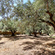 New plot of land for sale