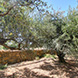 PLS2318 - image 2 PLS2318 - image 2