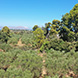 New Land Plot for Sale