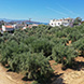 New Land Plot for Sale