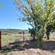 New Land Plot for Sale