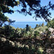 PLS2331 - image 10 PLS2331 - image 10
