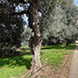 PLS2337 - image 7 PLS2337 - image 7