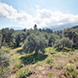 New Land Plot for Sale