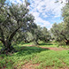 New plot of land for sale