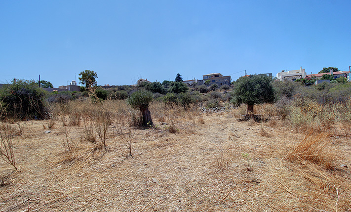 ΕΠΑΓΓΕΛΜΑΤΙΚΟ ΟΙΚΟΠΕΔΟ ΜΕ ΑΝΕΜΠΟΔΙΣΤΗ ΘΕΑ