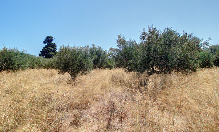 ΜΕΓΕΘΟΣ ΚΑΙ ΙΔΙΩΤΙΚΟΤΗΤΑ ΣΤΟ ΚΕΝΤΡΟ ΤΟΥ ΧΩΡΙΟΥ