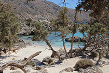 Kedrodasos Strand in Elafonisi, Chania, Kreta