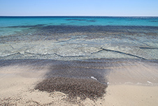 Kedrodasos Strand in Elafonisi, Chania, Kreta