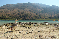 Kournas Lake Beach in Apokoronas, Chania, Crete