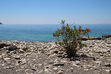 Αγία Ρουμέλη, Σαμαριά, Σφακιά, Χανιά, Κρήτη