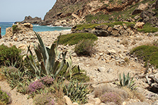 Platanakia Beach near Kissamos, Chania, West Crete