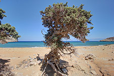 Potamos beach, Gavdos Island, Chania, Crete, Greece