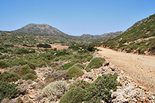 Menies beach in Platanias, Chania, Crete
