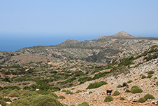 Menies beach in Platanias, Chania, Crete