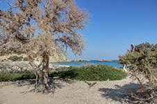 Παραλία Τρυπητή - Γαύδος, Χανιά, Κρήτη