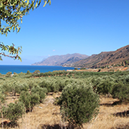 6 – Land